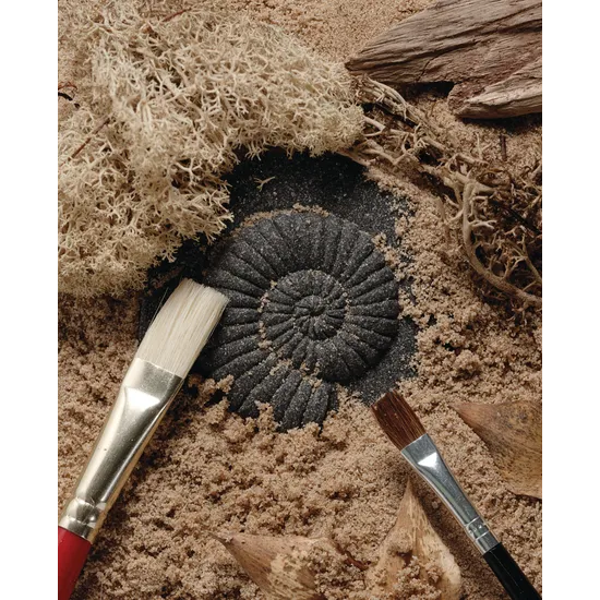 Play & Explore Fossils Set of 8 - Modern Teaching Aids NZ