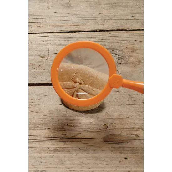 Play & Explore Bugs Set of 8 - Modern Teaching Aids NZ