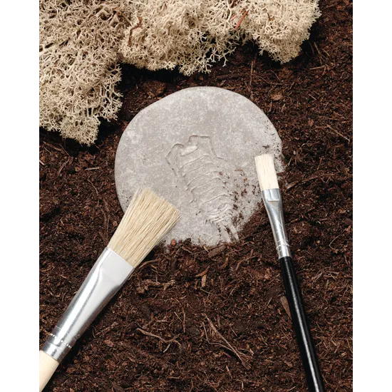 Play & Explore Bugs Set of 8 - Modern Teaching Aids NZ