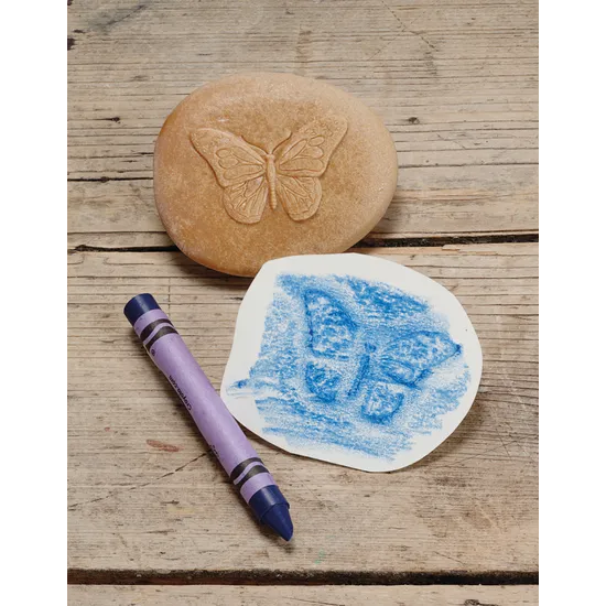 Play & Explore Bugs Set of 8 - Modern Teaching Aids NZ