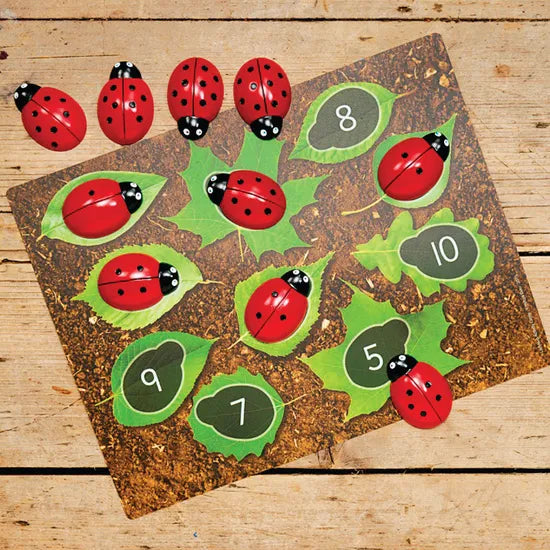 Ladybirds Early Number Cards Set - Modern Teaching Aids NZ