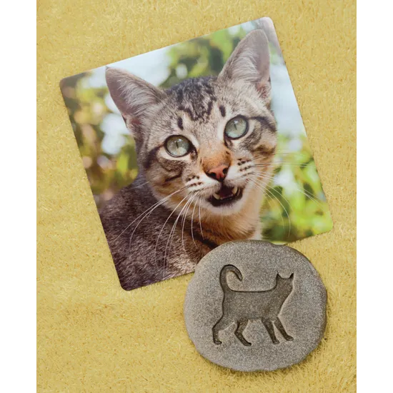 Farmyard Footprints Set of 8 - Modern Teaching Aids NZ