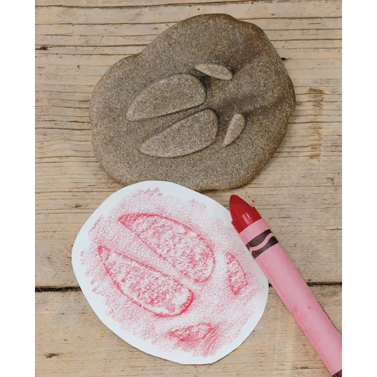 Farmyard Footprints Set of 8 - Modern Teaching Aids NZ