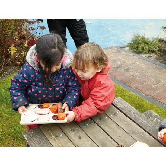 Natural Sorting Tray - Modern Teaching Aids NZ
