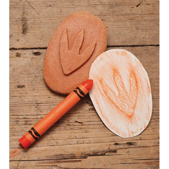 Let€™s Investigate: Dinosaur Footprints - Modern Teaching Aids NZ