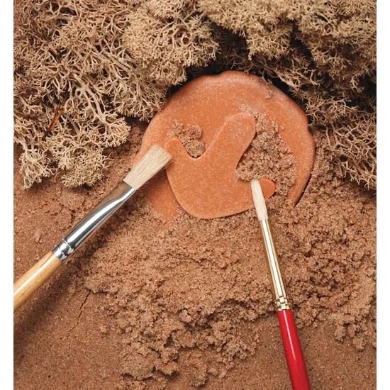 Let€™s Investigate: Dinosaur Footprints - Modern Teaching Aids NZ