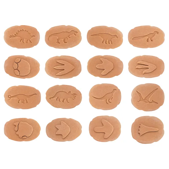 Let€™s Investigate: Dinosaur Footprints - Modern Teaching Aids NZ