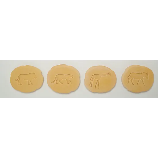 Safari Footprints - Modern Teaching Aids NZ