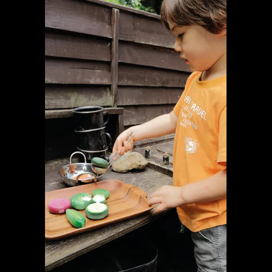 Sensory Play Stones: Vegetables 8 Piecess - Modern Teaching Aids NZ
