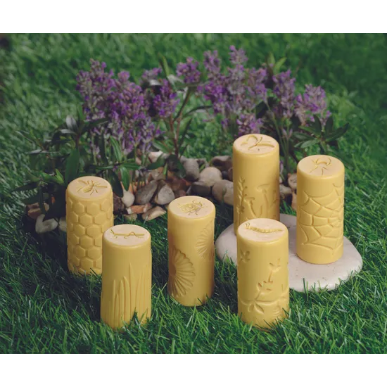 Garden Bug Rollers - Set of 6 - Modern Teaching Aids NZ