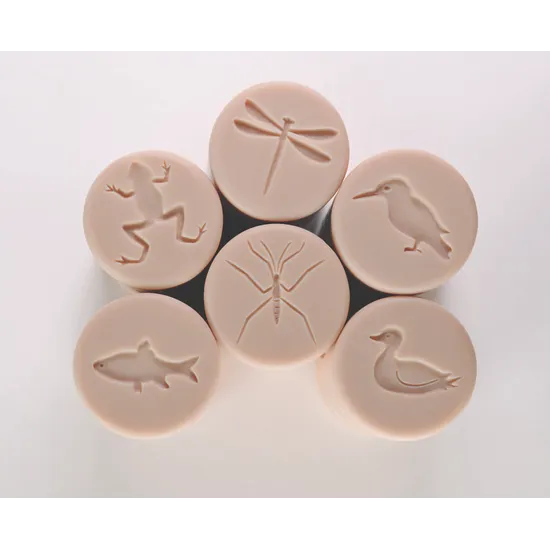 Pond Life Rollers - Set of 6 - Modern Teaching Aids NZ