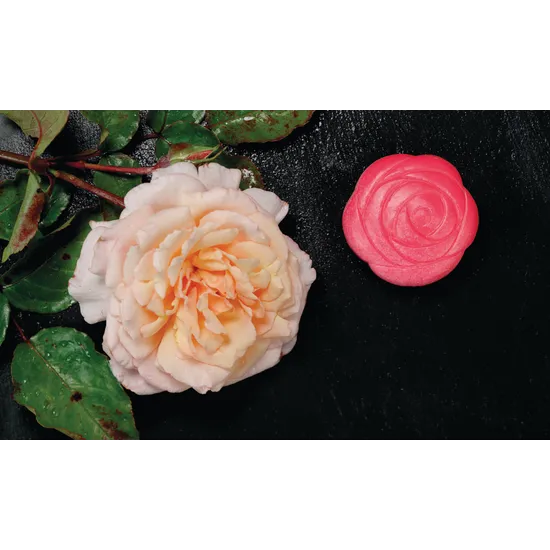 Sensory Play Flower Stones - Modern Teaching Aids NZ