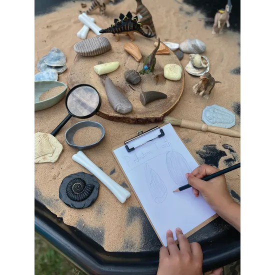 Let€™s Investigate: Prehistoric Teeth Sensory Stones - Modern Teaching Aids NZ