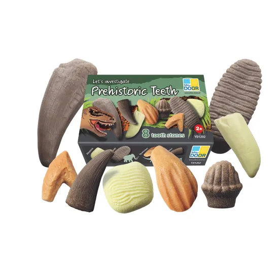 Let€™s Investigate: Prehistoric Teeth Sensory Stones - Modern Teaching Aids NZ