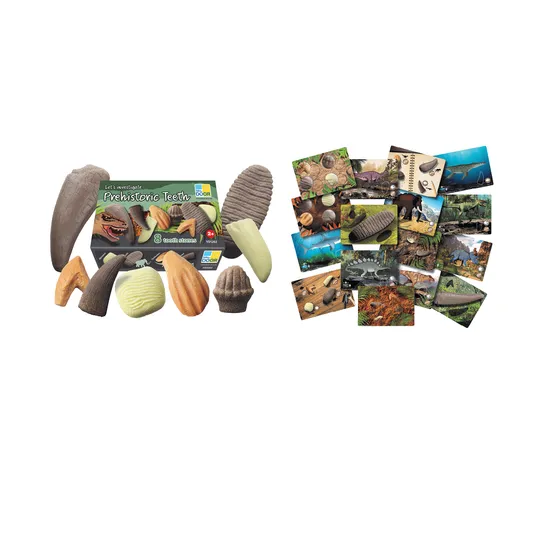Prehistoric Teeth Activity Set - Modern Teaching Aids NZ