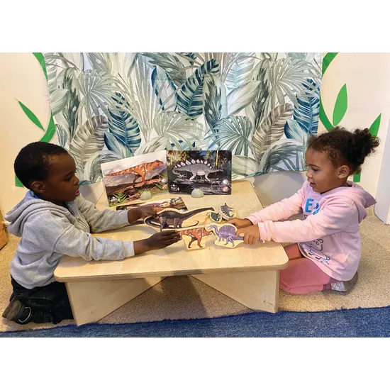 Prehistoric Teeth Explore & Discover Activity Cards - Modern Teaching Aids NZ