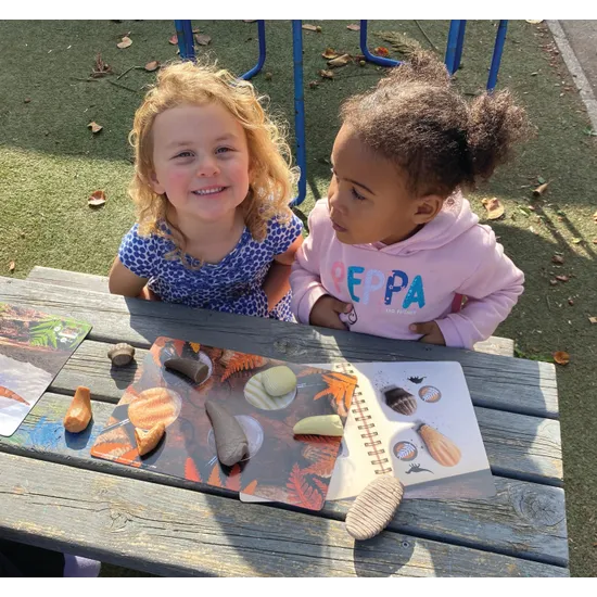 Prehistoric Teeth Explore & Discover Activity Cards - Modern Teaching Aids NZ