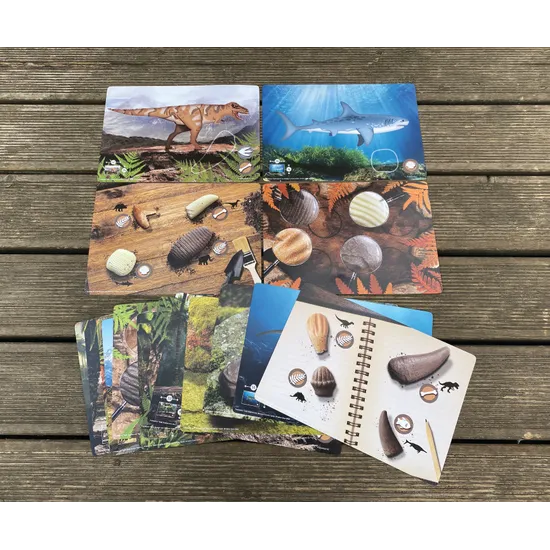 Prehistoric Teeth Explore & Discover Activity Cards - Modern Teaching Aids NZ