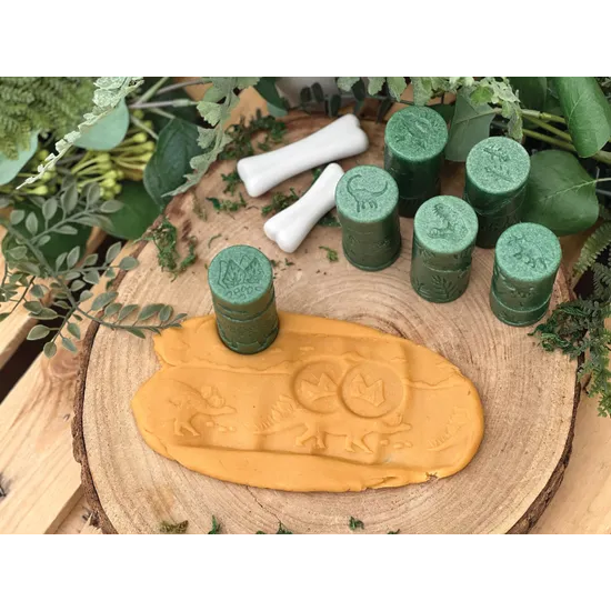 Dinosaur Rollers - Set of 6 - Modern Teaching Aids NZ