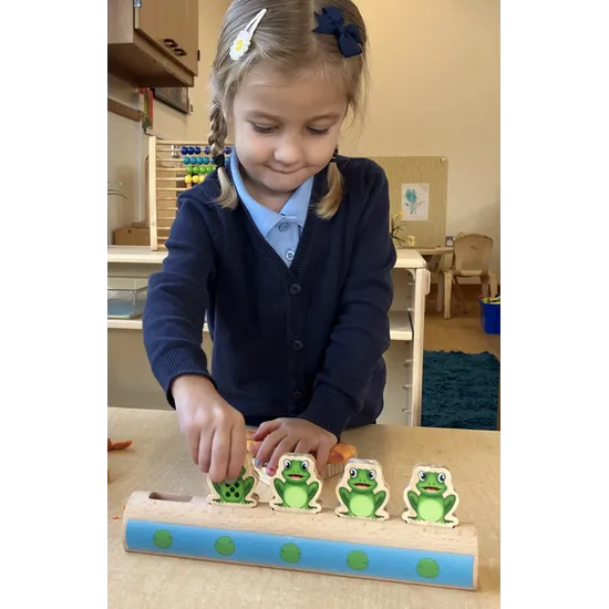 Five Frogs on a Log - Modern Teaching Aids NZ