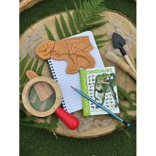 Dig and Discover - Ankylosaurus & Tyrannosaurus rex