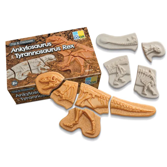 Dig and Discover - Ankylosaurus & Tyrannosaurus rex