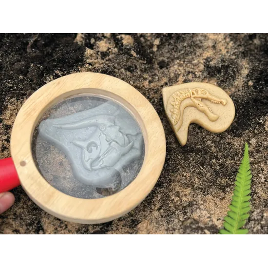 Dig and Discover Triceratops & Spinosaurus