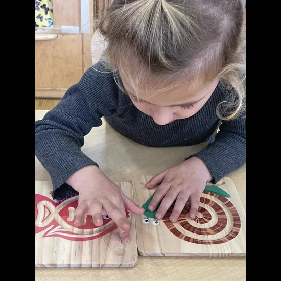 Sensory Calming Trails - Modern Teaching Aids NZ