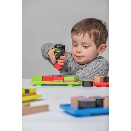 Sorting Sushi 37 Pieces