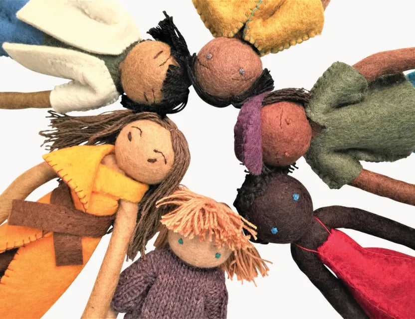 Belonging & Wellbeing (Developmental & Inclusion)