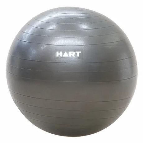 HART Anti Burst Swiss Ball 65cm - Modern Teaching Aids NZ