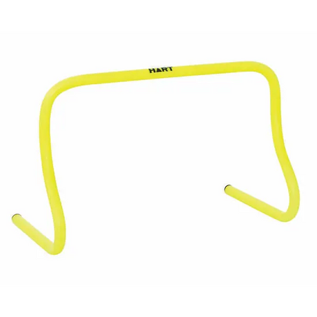 HART Step Hurdle Mini 30 cm - Modern Teaching Aids NZ