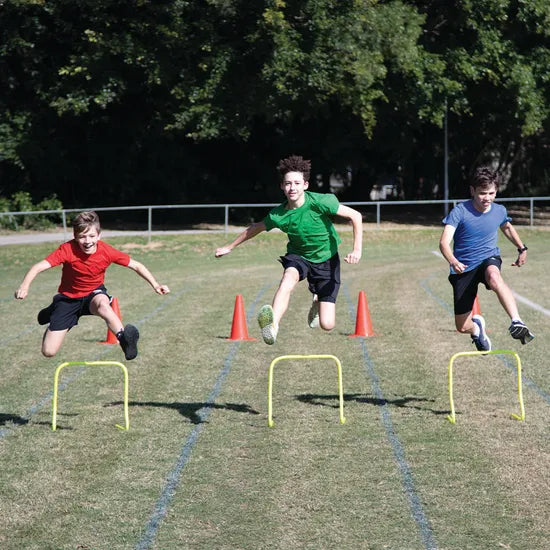 HART Step Hurdle Macro 45 cm - Modern Teaching Aids NZ