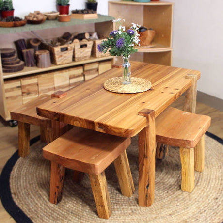 The Picnic Set  *DISCONTINUED - Modern Teaching Aids NZ