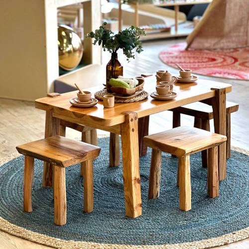 The Picnic Set  *DISCONTINUED - Modern Teaching Aids NZ