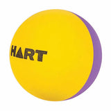 HART High Bounce Ball Purple & Yellow - Modern Teaching Aids NZ