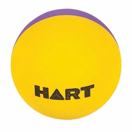 HART High Bounce Ball Purple & Yellow - Modern Teaching Aids NZ