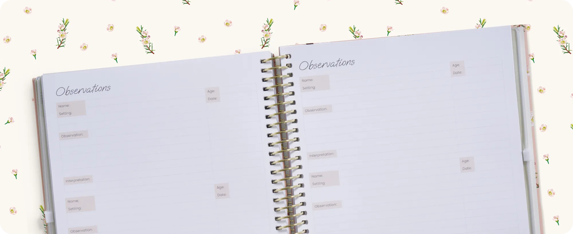 Dedicated space for observations and educator notes. 