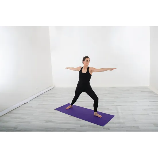 HART Sticky Yoga Mat Purple - Modern Teaching Aids NZ