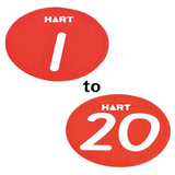 HART Numbered Disc Set of 20 - Modern Teaching Aids NZ