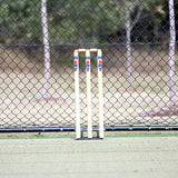 HART Spring Back Stumps - Modern Teaching Aids NZ