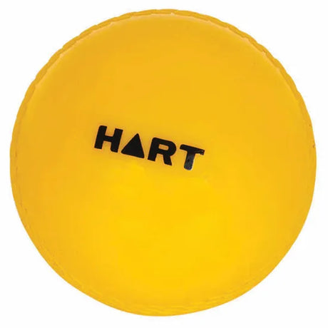 HART Kidz Cricket Ball Large - Modern Teaching Aids NZ