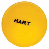 HART Kidz Cricket Ball Small - Modern Teaching Aids NZ
