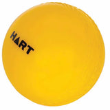 HART Kidz Cricket Ball Small - Modern Teaching Aids NZ