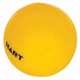 HART Kidz Cricket Ball Small - Modern Teaching Aids NZ