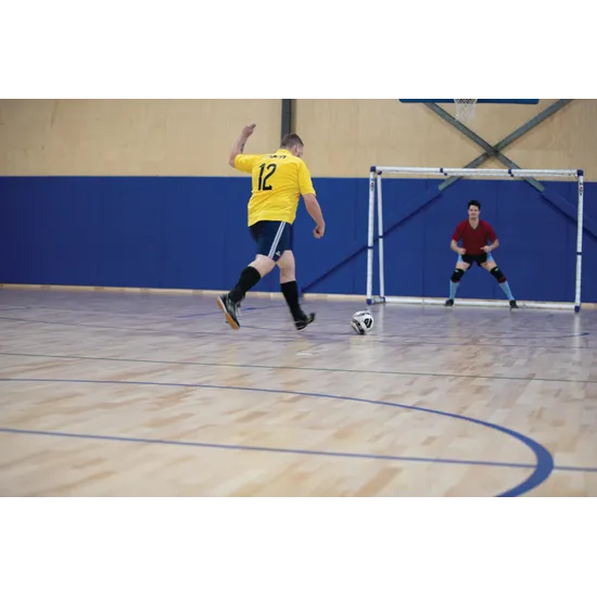 HART Pro Sports Goal Small - Modern Teaching Aids NZ