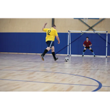 HART Pro Sports Goal Small - Modern Teaching Aids NZ