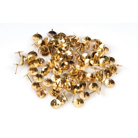 Thumb Tacks - Pack of 100 - Modern Teaching Aids NZ