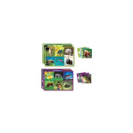 Lotto: 72 Animals - Modern Teaching Aids NZ