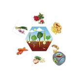 Where Does Food Come From? - Modern Teaching Aids NZ